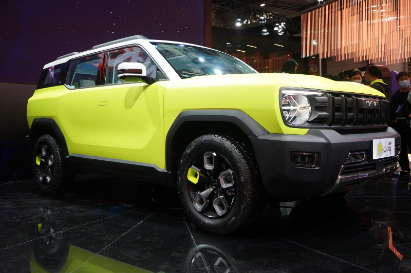 Haval x dog